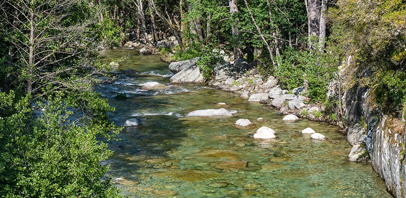 Gole del fiume Restonica